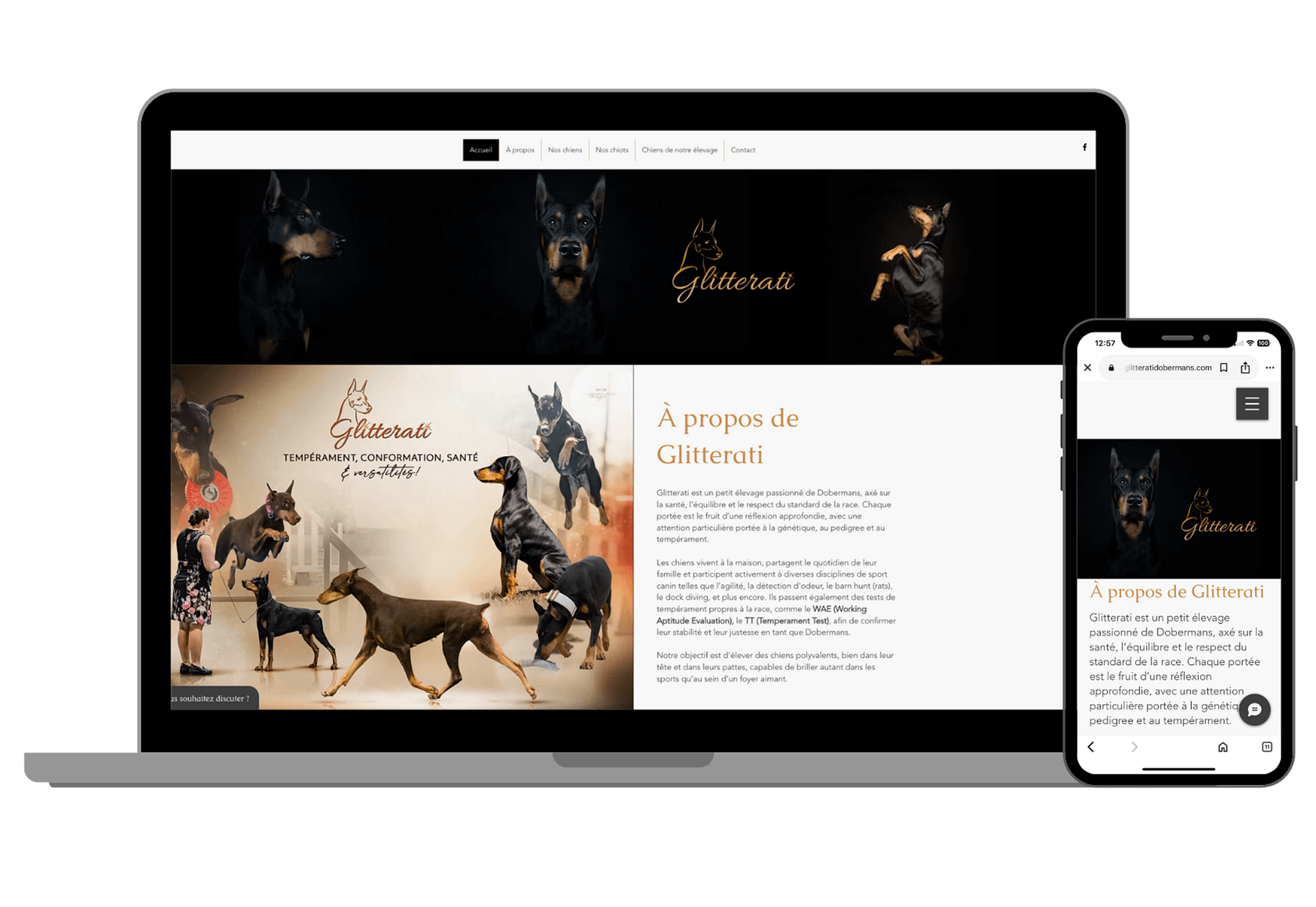 Glitterati Dobermans